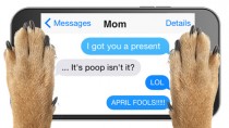 What if Your Pet Could Text?