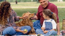 9 Tips for Having a Dog Safe Picnic