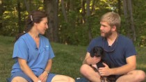 Think about size when it comes to running and hiking with a dog. 