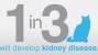 IDEXX SDMA test can help spot kidney disease in cats months or years sooner.