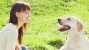 Do Dogs Recognize Human Faces?