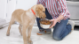 Second Company Recalls Dog Food Due to Listeria Concerns