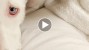 Watch This Loving Story of a Puppy Who Defied All Odds