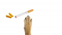 Are Electronic Cigarettes Poisonous to Dogs?