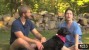 Dog parks can be great for dogs, but you have to keep a close eye on your pooch.