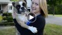 Blonde girl holding an English Bulldog