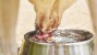 Dog drinking water 