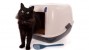 cat pooping in litter box