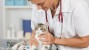 Cat getting an exam by a veterinarian