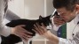 Veterinary Clinical Trials Explained