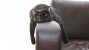 Cat feeling off laying on the couch 