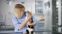 Why Does My Veterinarian Want to Test My Cat for Diabetes?