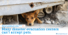 Many disaster evacuation centers can't accept pets
