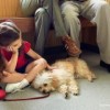 5 Easy Steps to Reduce Veterinary Expenses