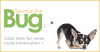 Mosquitoes, Dogs and Heartworm Disease