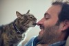 cat licking man