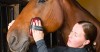 Horse Grooming 101