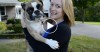 Blonde girl holding an English Bulldog