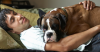 Pet Insurance is Easy to Get and Important to Have