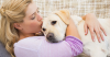 5 Tips for Surviving Your Dog’s Cancer Treatment