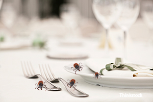 Ticks on a table