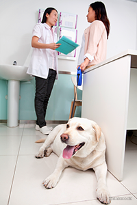 Vet and owner talking while dog lays on floor