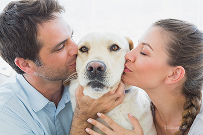 Couple with dogs