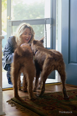 Woman greeting her dogs at the door